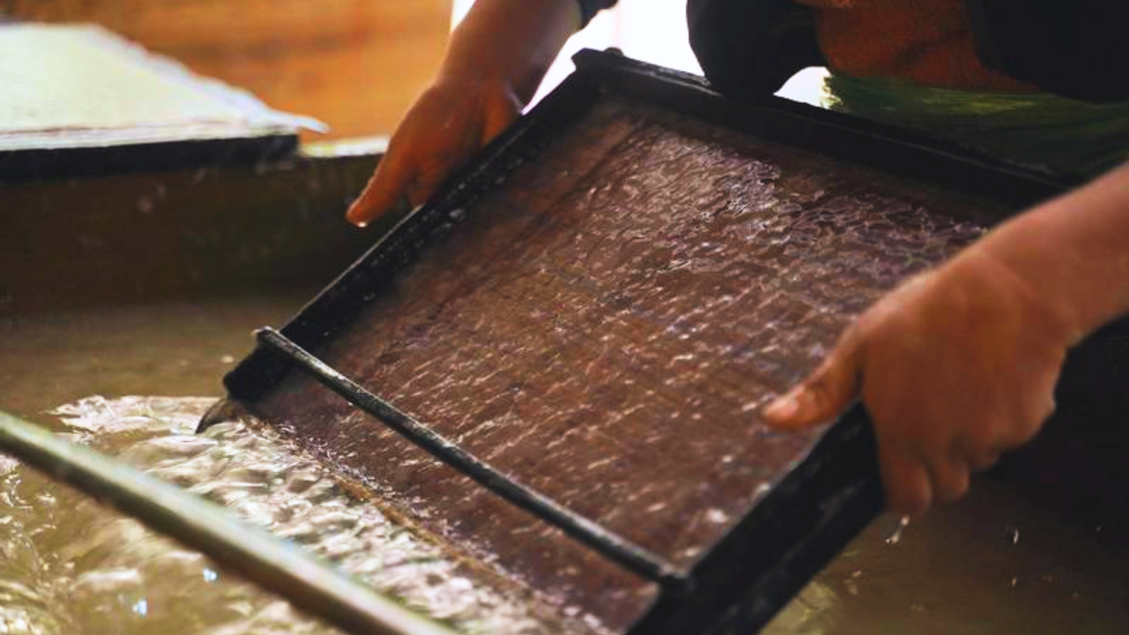 Experience making Do paper (3)